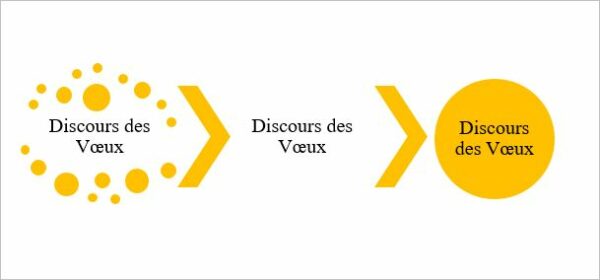 discours voeux 6122017