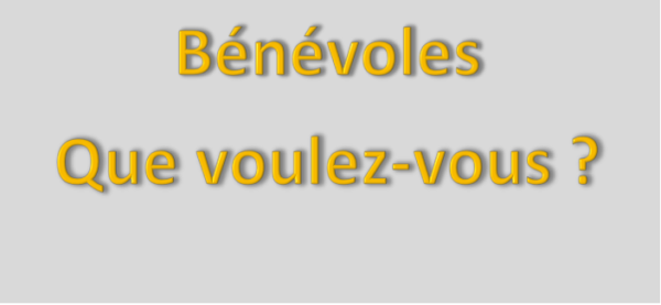 bénévole 3